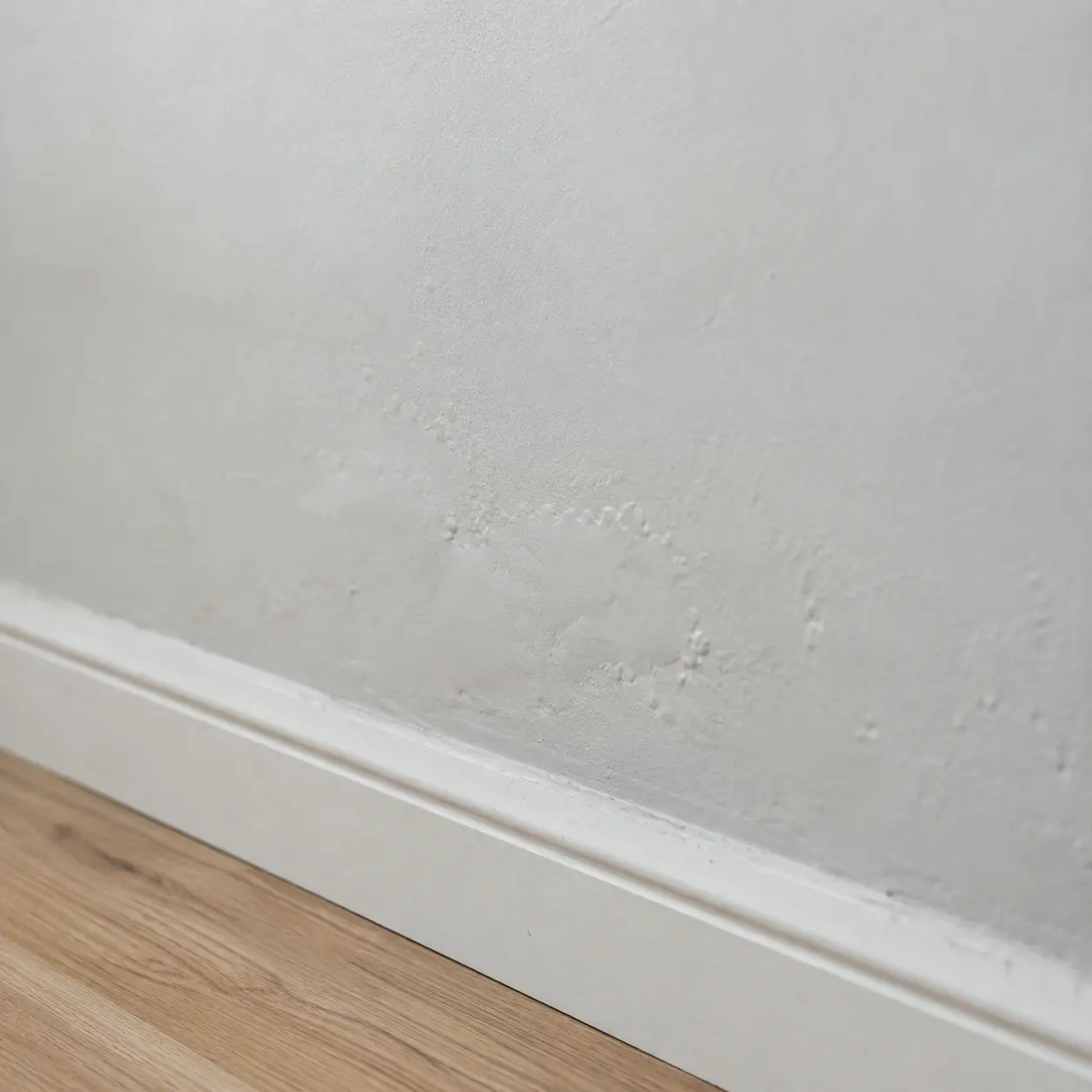 A damp patch and bubbling paint on a wall