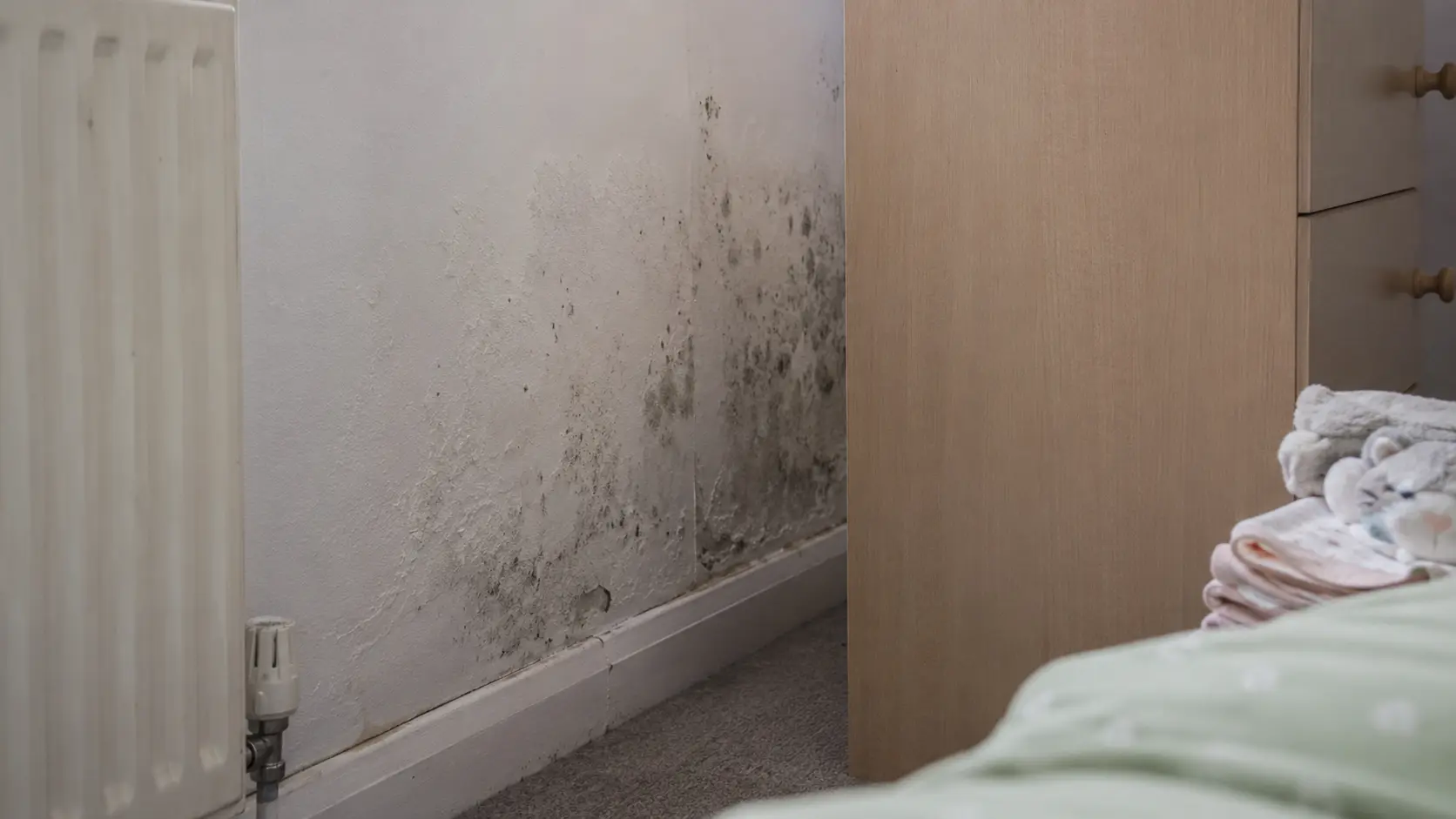 Mould on a bedroom wall behind furniture