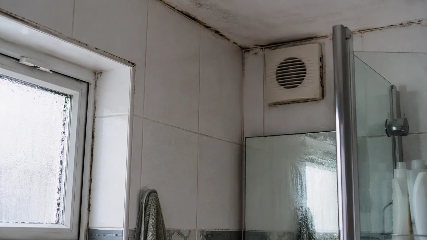 Condensation and mould in bathroom grout